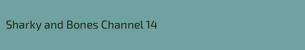 Sharky and Bones Channel 14
